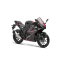 GPX Demon GR250R - Storm Black